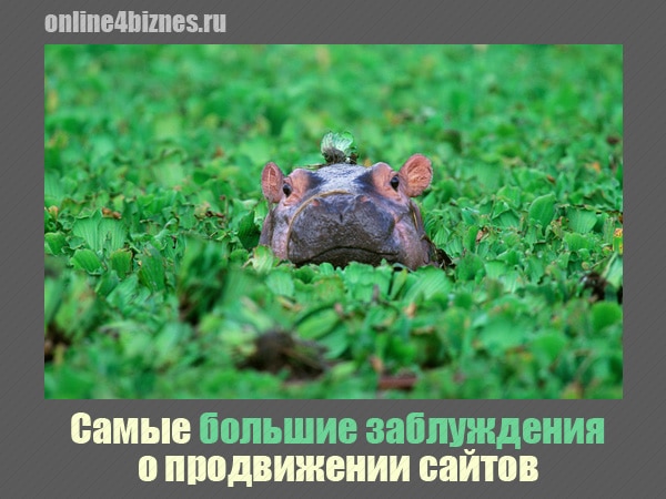 Розробка сайтів Хмельницький