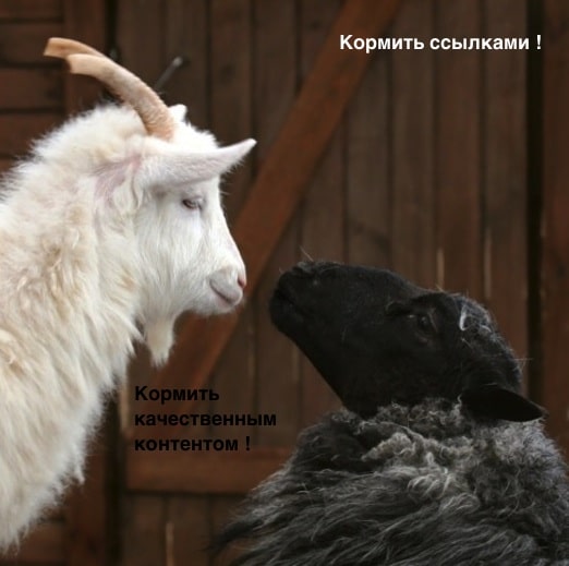 Розробка сайтів Хмельницький