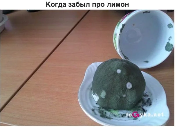 12 ФОТО КОГДА ЛЮДИ ПРОСТО “ЗАБЫЛИ”