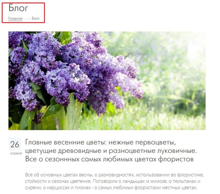  продвижением сайта 2