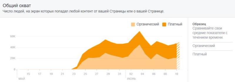 Николай Сапсан 33